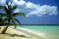 Ocho R�os